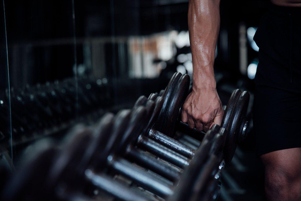The 7 Most Important Muscle Groups to Train On!